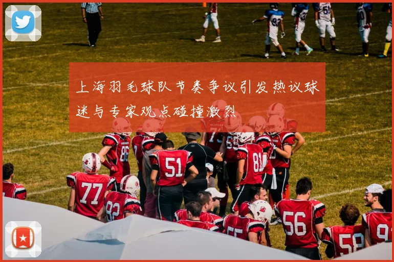 上海羽毛球队节奏争议引发热议球迷与专家观点碰撞激烈