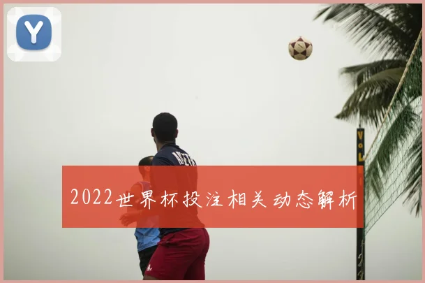 2022世界杯投注相关动态解析