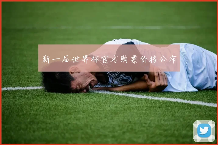 新一届世界杯官方购票价格公布