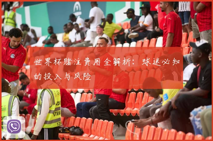 世界杯赌注费用全解析：球迷必知的投入与风险