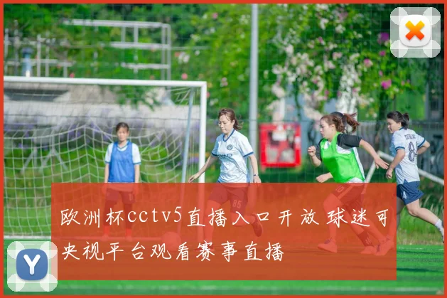 欧洲杯cctv5直播入口开放 球迷可央视平台观看赛事直播