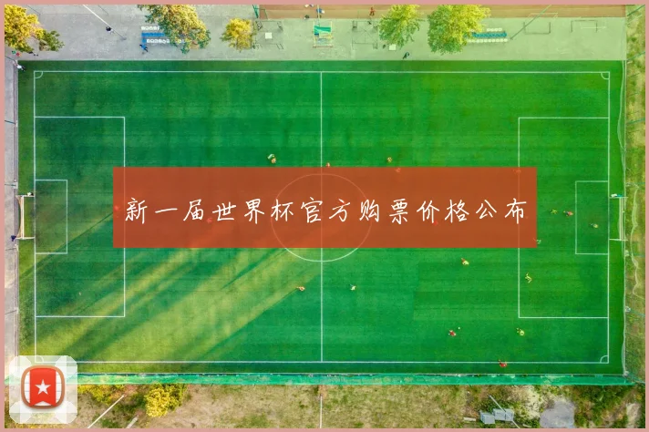 新一届世界杯官方购票价格公布