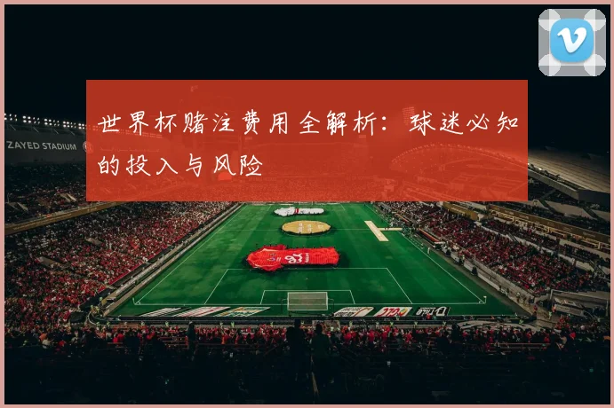 世界杯赌注费用全解析:球迷必知的投入与风险