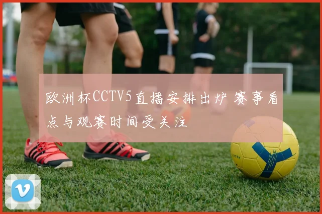 欧洲杯CCTV5直播安排出炉 赛事看点与观赛时间受关注