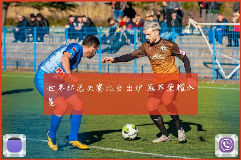 世界杯总决赛比分出炉 冠军荣耀加冕