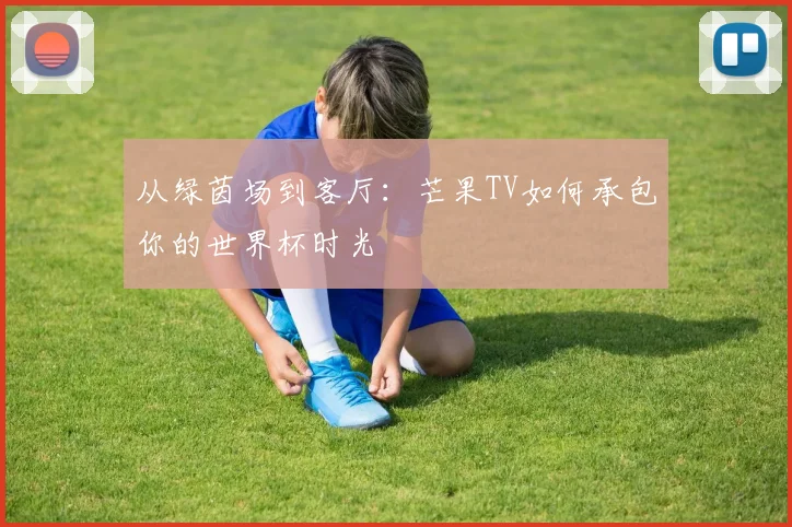 从绿茵场到客厅:芒果TV如何承包你的世界杯时光