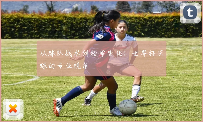 从球队战术到赔率变化:世界杯买球的专业视角