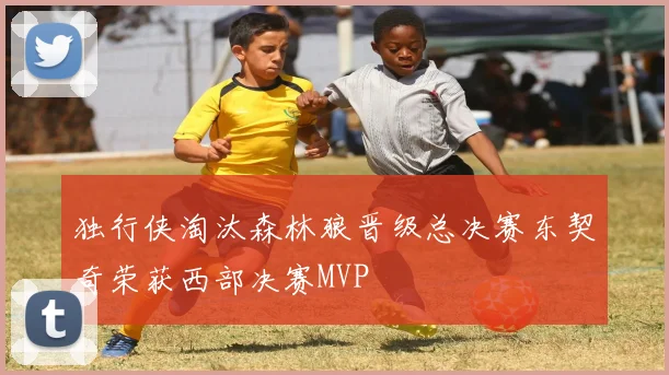 独行侠淘汰森林狼晋级总决赛东契奇荣获西部决赛MVP