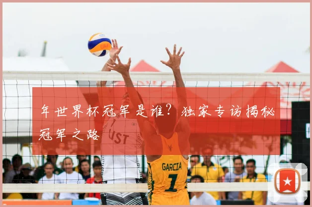 年世界杯冠军是谁？独家专访揭秘冠军之路