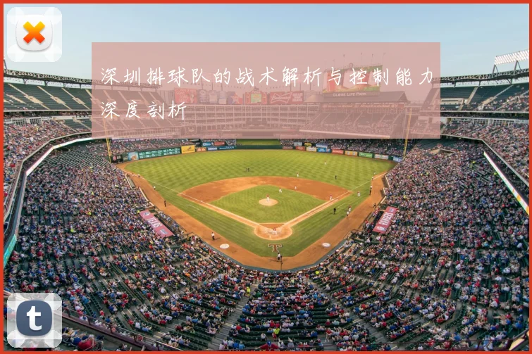深圳排球队的战术解析与控制能力深度剖析